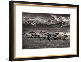 Mountain Range Mavericks-Lisa Dearing-Framed Photographic Print