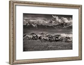 Mountain Range Mavericks-Lisa Dearing-Framed Photographic Print