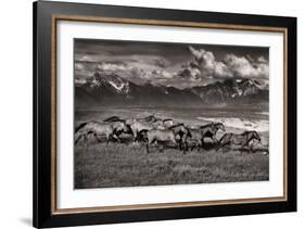 Mountain Range Mavericks-Lisa Dearing-Framed Photographic Print