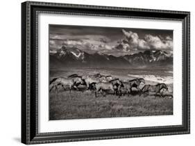 Mountain Range Mavericks-Lisa Dearing-Framed Photographic Print