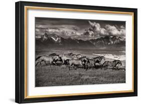 Mountain Range Mavericks-Lisa Dearing-Framed Photographic Print