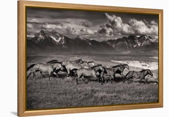 Mountain Range Mavericks-Lisa Dearing-Framed Premier Image Canvas