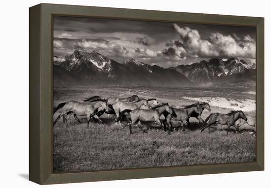 Mountain Range Mavericks-Lisa Dearing-Framed Premier Image Canvas