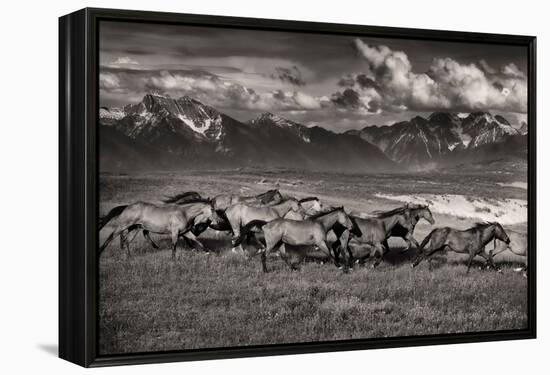 Mountain Range Mavericks-Lisa Dearing-Framed Premier Image Canvas