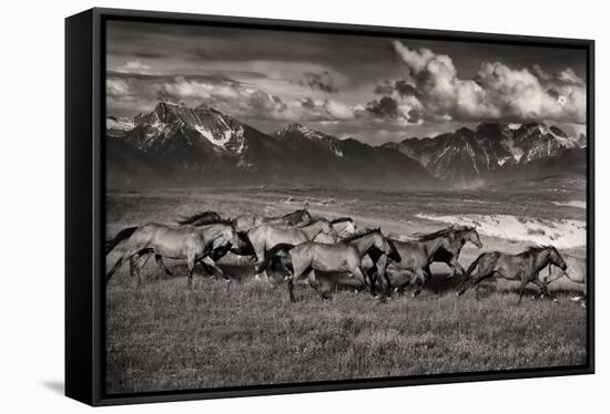 Mountain Range Mavericks-Lisa Dearing-Framed Premier Image Canvas