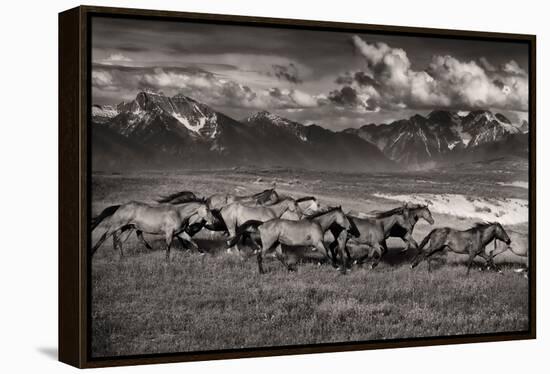 Mountain Range Mavericks-Lisa Dearing-Framed Premier Image Canvas