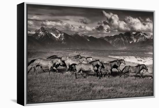 Mountain Range Mavericks-Lisa Dearing-Framed Premier Image Canvas