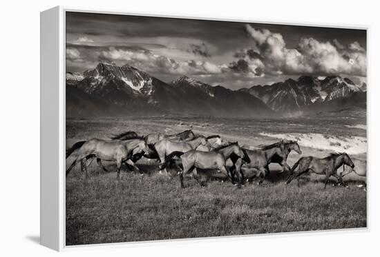 Mountain Range Mavericks-Lisa Dearing-Framed Premier Image Canvas