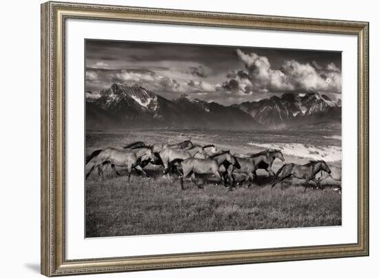 Mountain Range Mavericks-Lisa Dearing-Framed Photographic Print