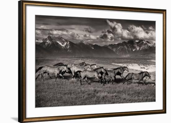 Mountain Range Mavericks-Lisa Dearing-Framed Photographic Print