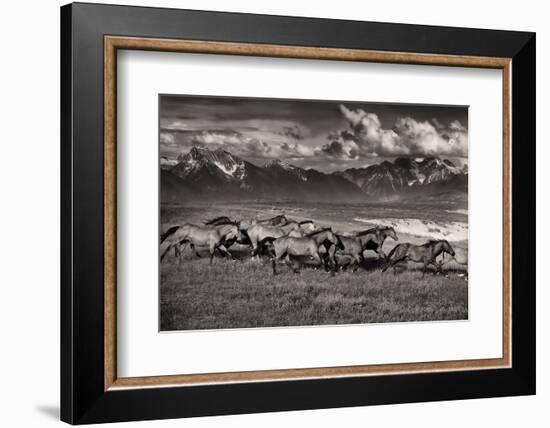 Mountain Range Mavericks-Lisa Dearing-Framed Photographic Print