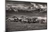 Mountain Range Mavericks-Lisa Dearing-Mounted Photographic Print