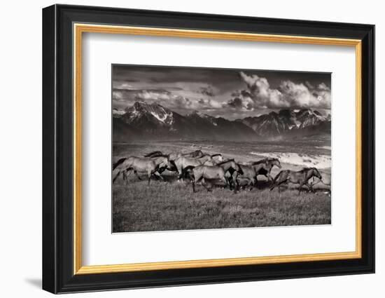 Mountain Range Mavericks-Lisa Dearing-Framed Photographic Print