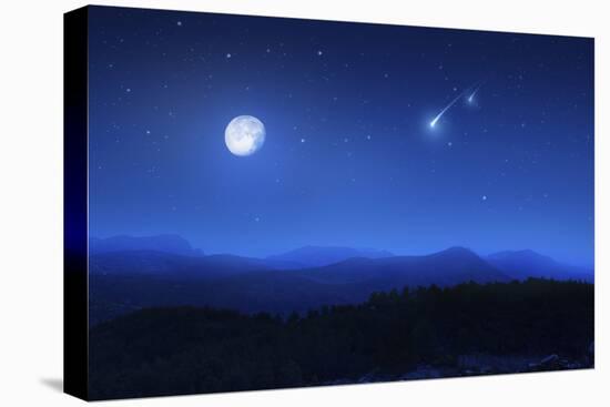 Stretched Canvas Print, , large