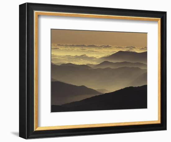 Mountain Ridges at Sunrise, Great Smoky Mountains National Park, Tennessee, USA-Adam Jones-Framed Photographic Print