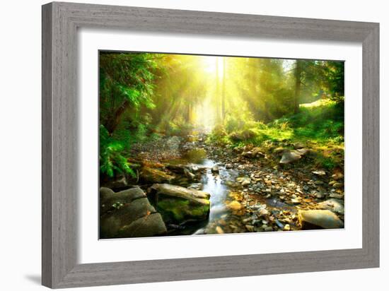 Mountain River With, Forest Landscape. Tranquil Waterfall Scenery in the Middle of Green Forest-Subbotina Anna-Framed Photographic Print