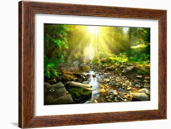 Mountain River With, Forest Landscape. Tranquil Waterfall Scenery in the Middle of Green Forest-Subbotina Anna-Framed Photographic Print