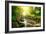 Mountain River With, Forest Landscape. Tranquil Waterfall Scenery in the Middle of Green Forest-Subbotina Anna-Framed Photographic Print