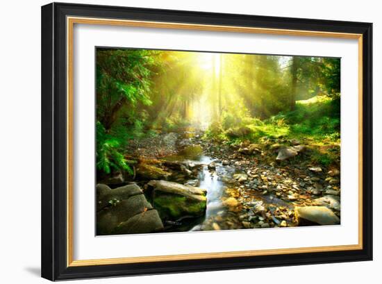 Mountain River With, Forest Landscape. Tranquil Waterfall Scenery in the Middle of Green Forest-Subbotina Anna-Framed Photographic Print