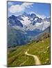 Mountain Route around the Matterhorn, Switzerland-Carlos Sánchez Pereyra-Mounted Photographic Print