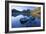 Mountain Scenery Dove Lake in Front of Massive-null-Framed Photographic Print