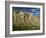 Mountain Scenery Near Villarluengo, Teruel, Aragon, Spain, Europe-Michael Busselle-Framed Photographic Print