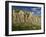 Mountain Scenery Near Villarluengo, Teruel, Aragon, Spain, Europe-Michael Busselle-Framed Photographic Print