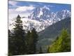 Premium Photographic Print