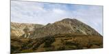 Photographic Print