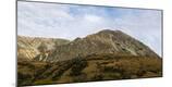 Photographic Print