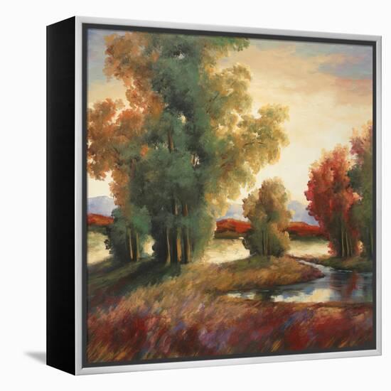 Mountain Shadows-Adam Rogers-Framed Stretched Canvas