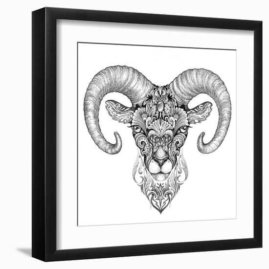 Mountain Sheep, Argali, Black and White Ink Drawing-Vensk-Framed Art Print