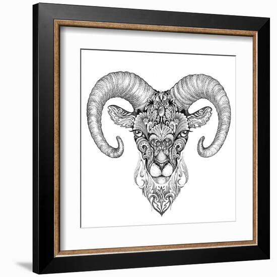 Mountain Sheep, Argali, Black and White Ink Drawing-Vensk-Framed Art Print