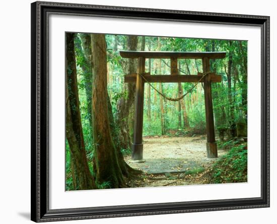 Mountain Shrine, Yakushima, Kagoshima, Japan-Rob Tilley-Framed Photographic Print