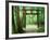 Mountain Shrine, Yakushima, Kagoshima, Japan-Rob Tilley-Framed Photographic Print