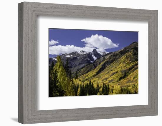 Mountain slope along Million Dollar Highway, Ouray, Colorado.-Adam Jones-Framed Photographic Print