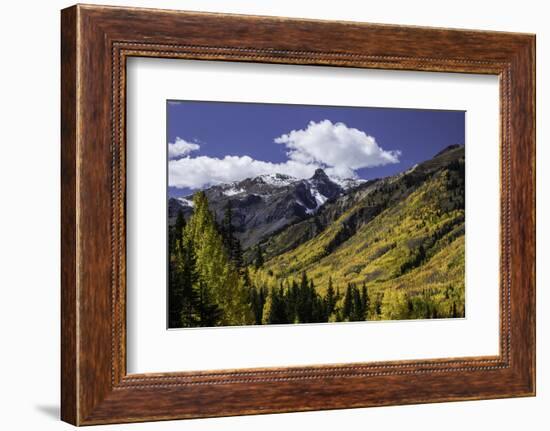 Mountain slope along Million Dollar Highway, Ouray, Colorado.-Adam Jones-Framed Photographic Print