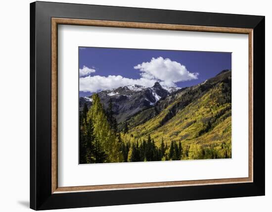 Mountain slope along Million Dollar Highway, Ouray, Colorado.-Adam Jones-Framed Photographic Print