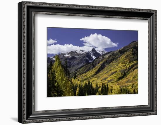 Mountain slope along Million Dollar Highway, Ouray, Colorado.-Adam Jones-Framed Photographic Print