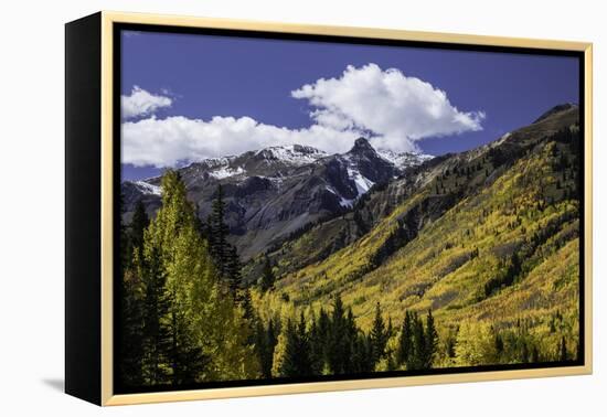 Mountain slope along Million Dollar Highway, Ouray, Colorado.-Adam Jones-Framed Premier Image Canvas