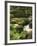 Mountain Stream Cascades over Rocks Covered with Mosses, Ferns and Flowers in Scotland, UK-null-Framed Photographic Print