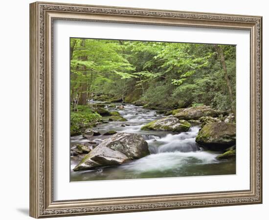 Mountain Stream, Great Smoky Mountains National Park, North Carolina, Usa-Adam Jones-Framed Photographic Print