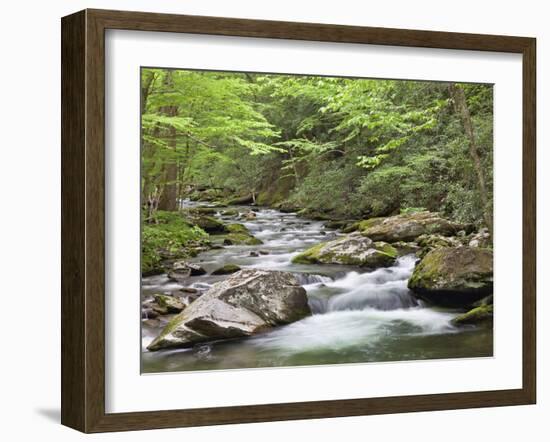 Mountain Stream, Great Smoky Mountains National Park, North Carolina, Usa-Adam Jones-Framed Photographic Print