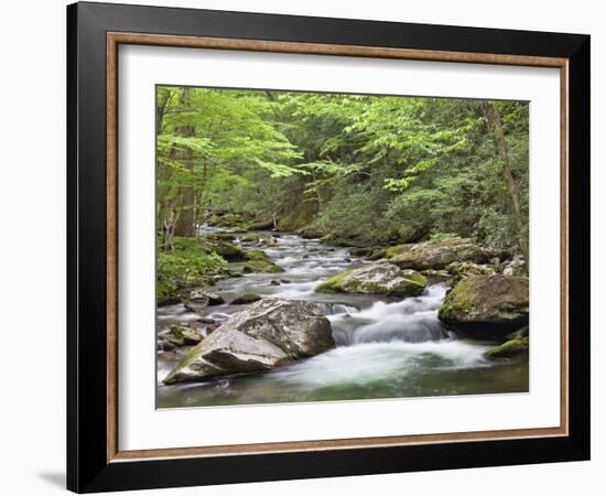 Mountain Stream, Great Smoky Mountains National Park, North Carolina, Usa-Adam Jones-Framed Photographic Print