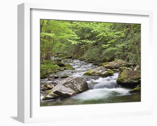 Mountain Stream, Great Smoky Mountains National Park, North Carolina, Usa-Adam Jones-Framed Photographic Print