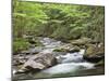 Mountain Stream, Great Smoky Mountains National Park, North Carolina, Usa-Adam Jones-Mounted Photographic Print