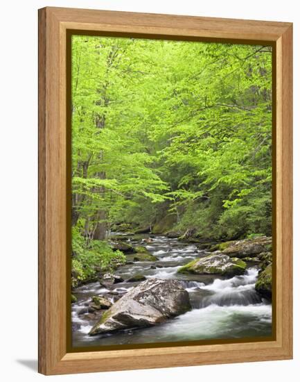 Mountain Stream, Great Smoky Mountains National Park, North Carolina, Usa-Adam Jones-Framed Premier Image Canvas