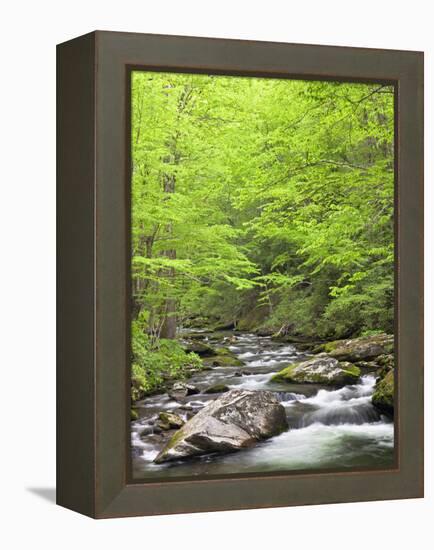 Mountain Stream, Great Smoky Mountains National Park, North Carolina, Usa-Adam Jones-Framed Premier Image Canvas