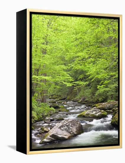 Mountain Stream, Great Smoky Mountains National Park, North Carolina, Usa-Adam Jones-Framed Premier Image Canvas