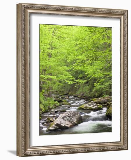Mountain Stream, Great Smoky Mountains National Park, North Carolina, Usa-Adam Jones-Framed Photographic Print